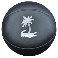 3 Boules de Pétanque avec sacoche et but - Motif Nimes