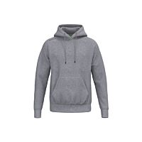 Pull à capuche TS - Unisexe - gris