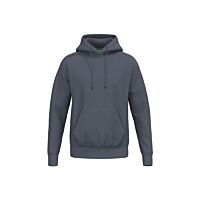 Pull à capuche TS - Unisexe - gris