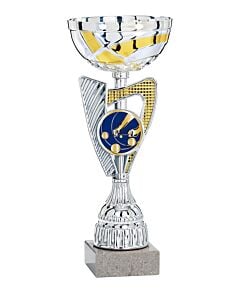 Coupe sp&eacute;ciale p&eacute;tanque argent et or 33cm avec pastille
