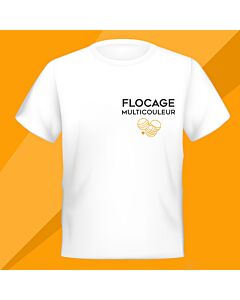 Flocage multicouleur d'un logo taille max. 100 cm2