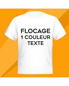 Flocage une couleur d'un texte (taille jusqu'à 625 cm2, sans logo)