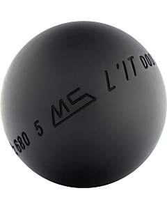 MS L'IT