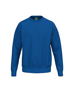 Sweatshirt TS - Unisexe - bleu royal